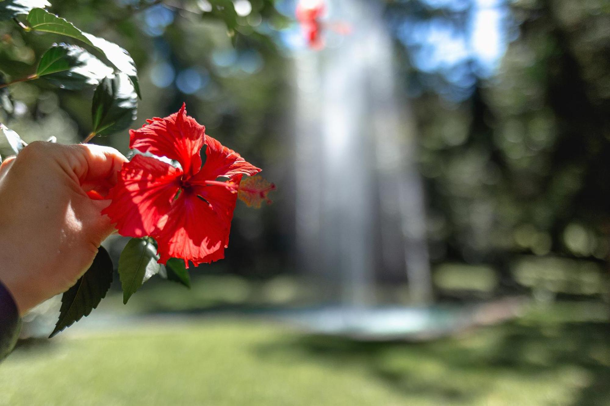 Hotel Jardins Da Colina Nova Petropolis Ngoại thất bức ảnh